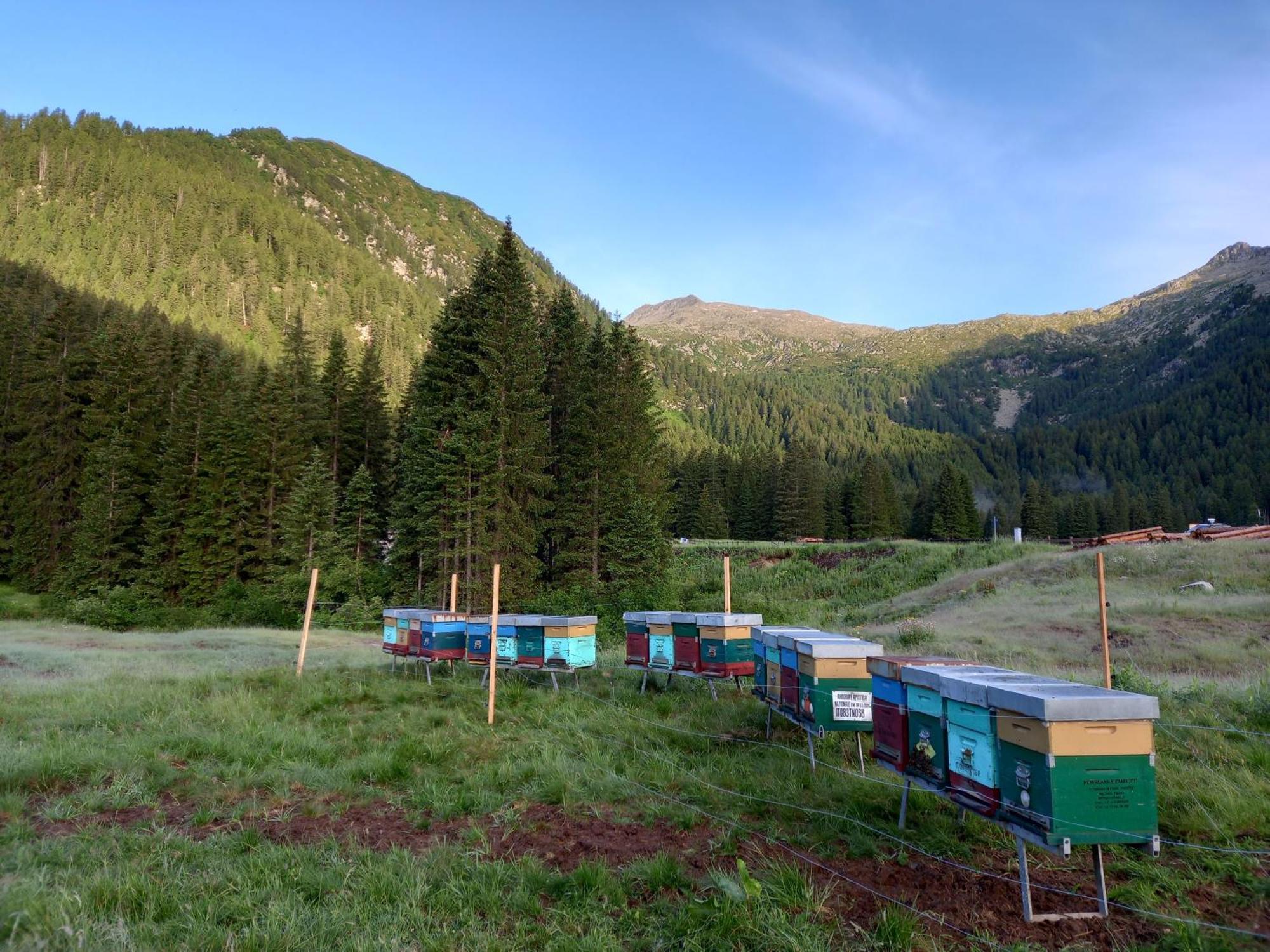 Agritur Ca' De Mel Villa Fiavè Dış mekan fotoğraf